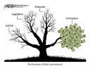 sherffius-branches-of-bushes-govt.jpg