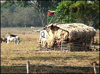 Venezuelan farm